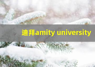 迪拜amity university